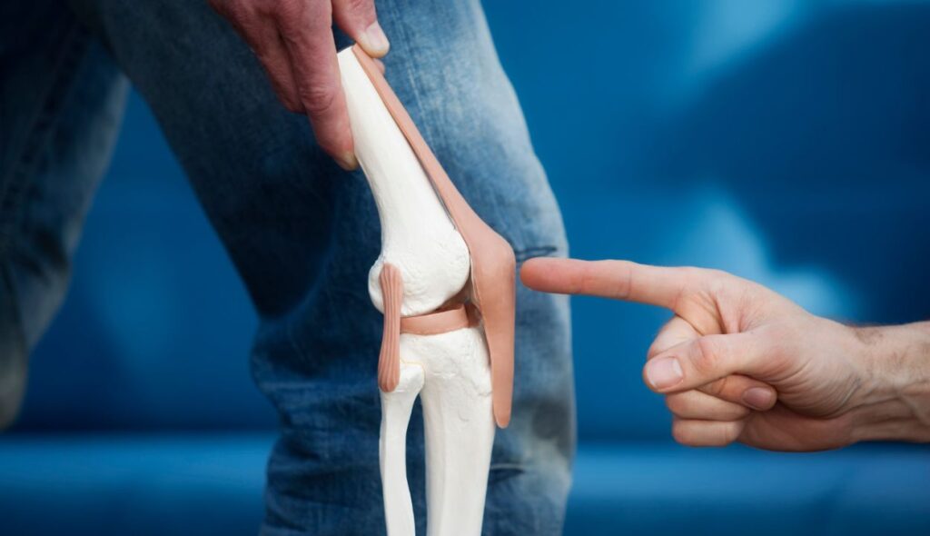 Joint Replacement Surgery in Nagpur